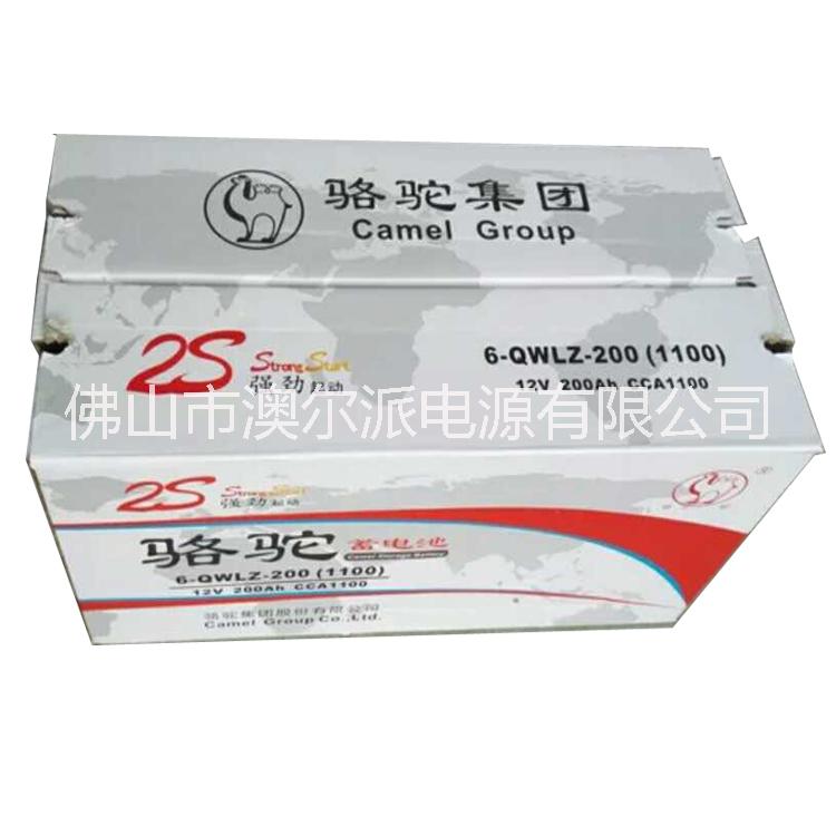 駱駝蓄電池批發(fā)圖片