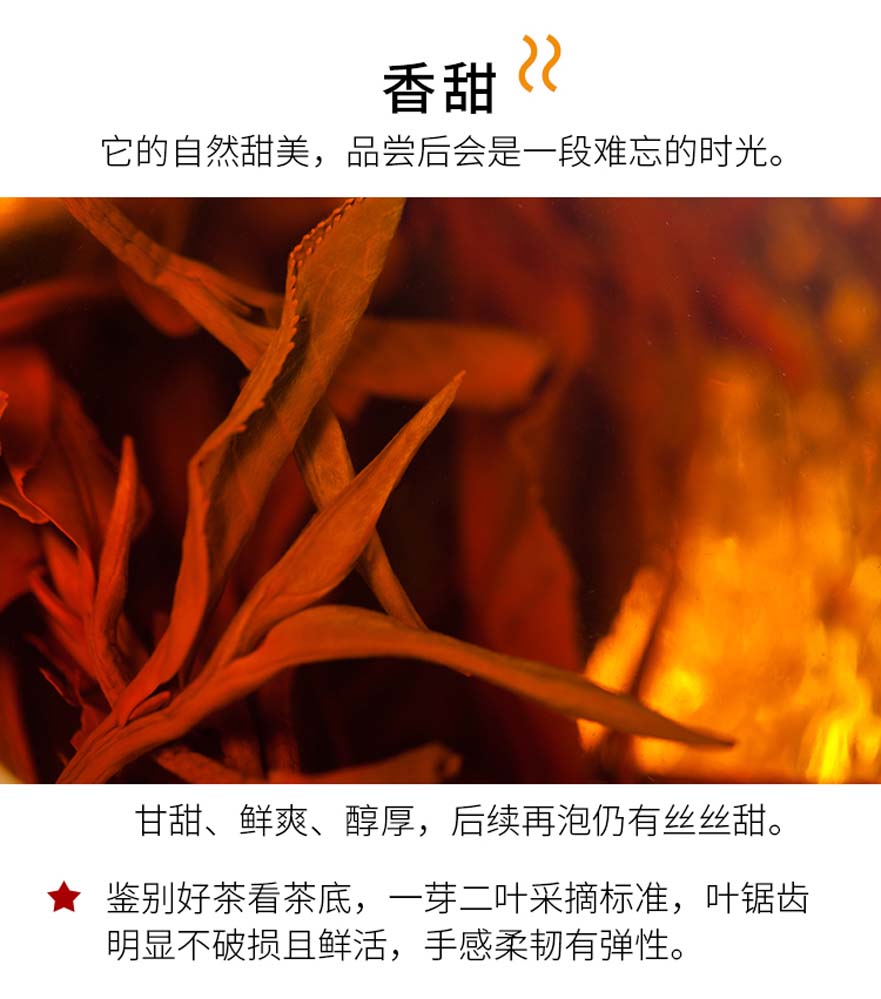 紅茶圖片/紅茶樣板圖 (4)