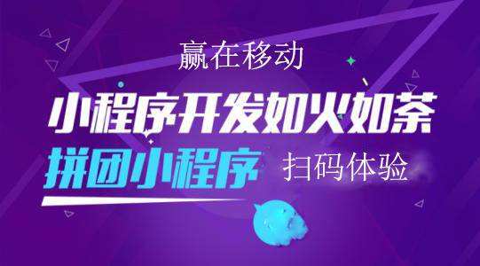 小程序開發(fā)制作公司圖片/小程序開發(fā)制作公司樣板圖 (3)