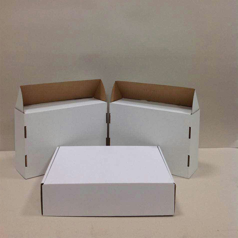 飛機(jī)盒圖片/飛機(jī)盒樣板圖 (2)