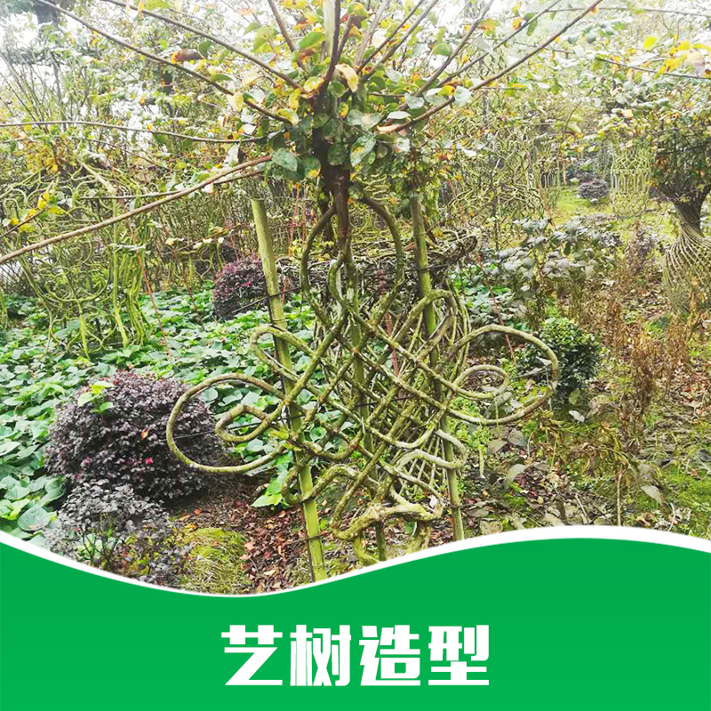 樹造型圖片/樹造型樣板圖 (3)
