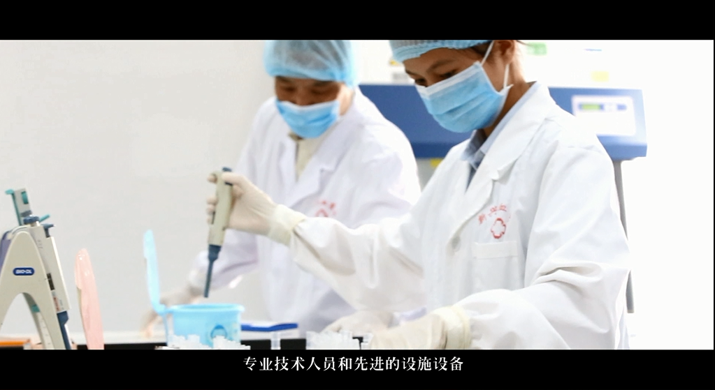 深圳東莞宣傳片拍攝