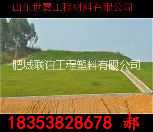 生態(tài)圖片/生態(tài)樣板圖 (4)