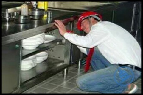 西安滅鼠除老鼠公司的收費價格圖片/西安滅鼠除老鼠公司的收費價格樣板圖 (2)