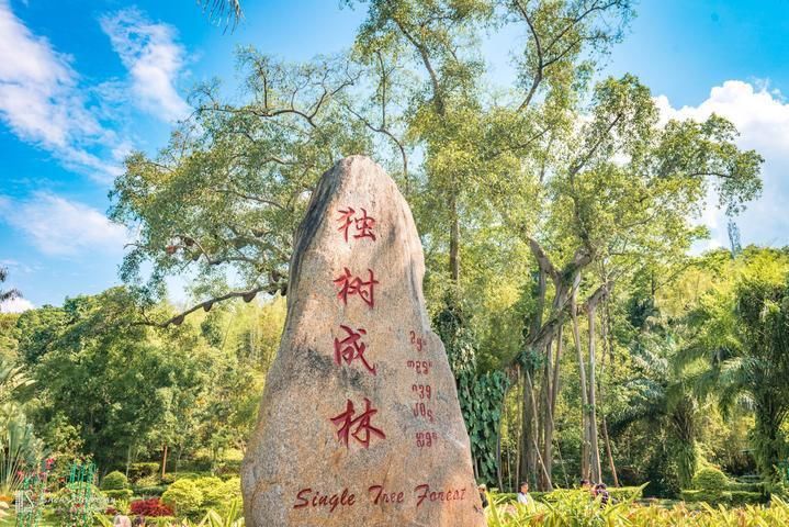云南旅游 西雙版納雙飛5日游圖片/云南旅游 西雙版納雙飛5日游樣板圖 (3)