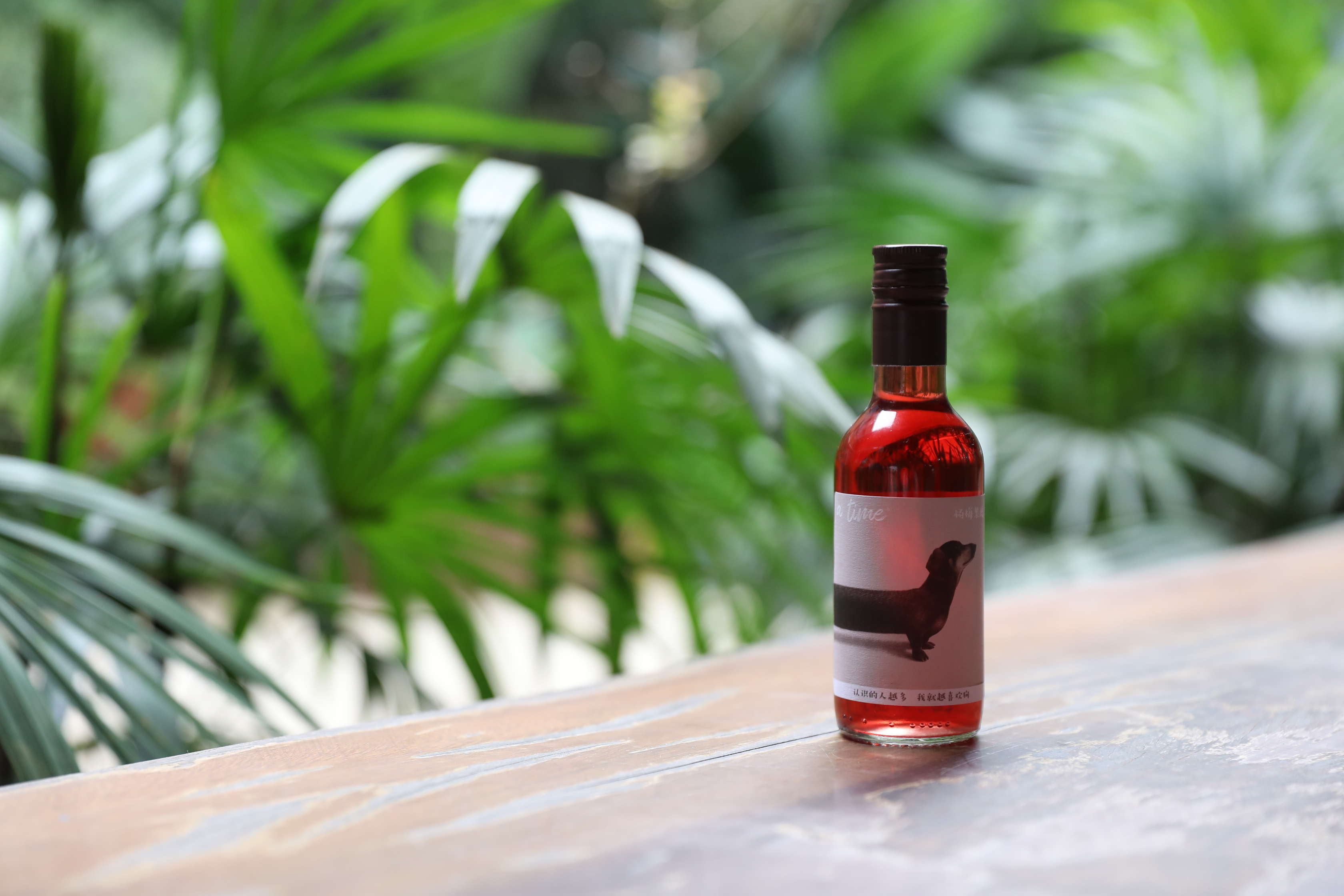 聚會圖片/聚會樣板圖 (3)