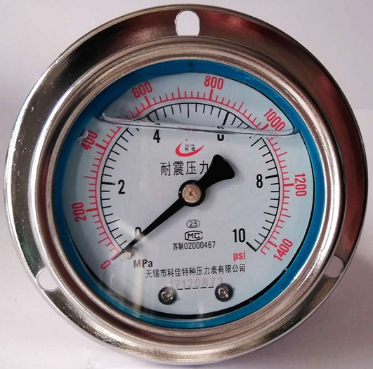 耐震帶邊嵌裝壓力表