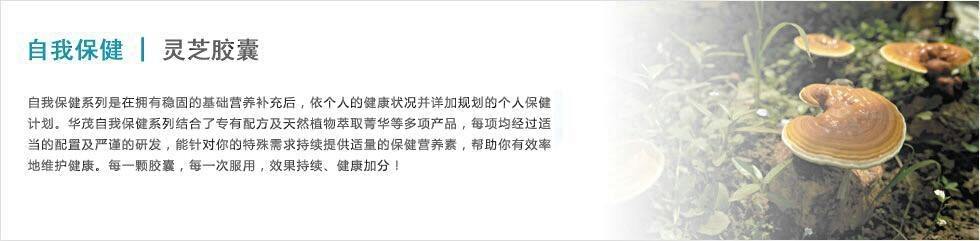 靈芝膠囊圖片/靈芝膠囊樣板圖 (4)