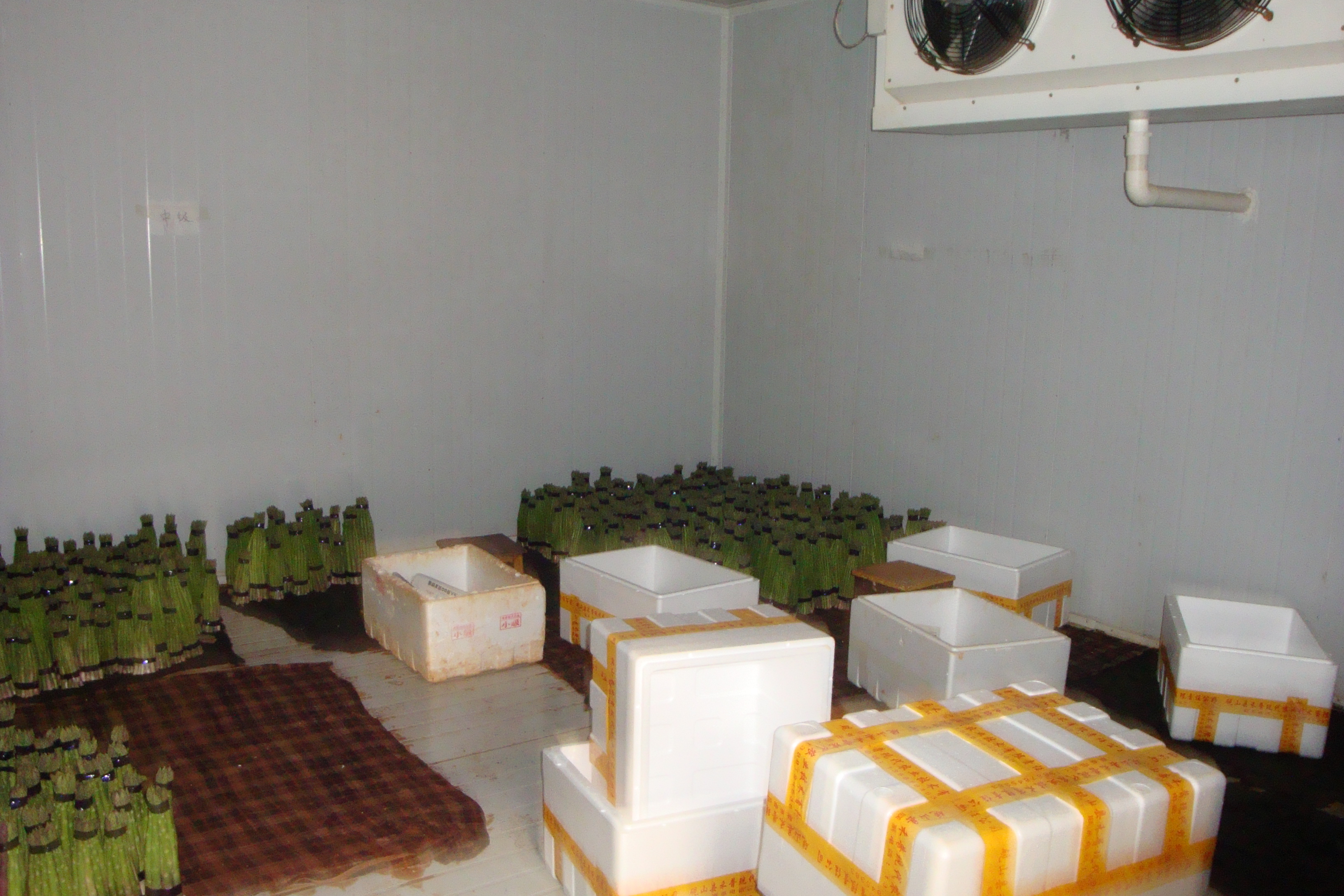 小型保鮮庫圖片/小型保鮮庫樣板圖 (3)