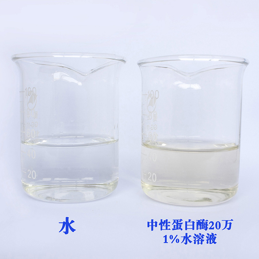 蛋白酶圖片/蛋白酶樣板圖 (3)