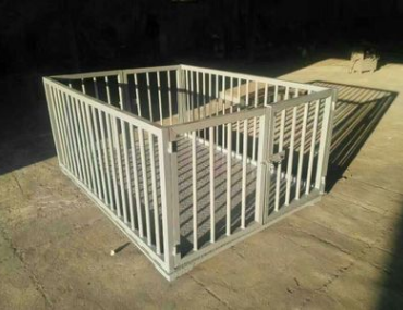 動物電子秤圖片/動物電子秤樣板圖 (3)