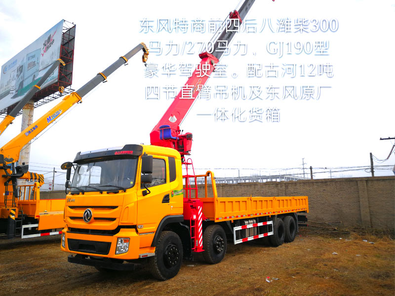 東風特商前四后八徐工14噸雙聯(lián)泵圖片/東風特商前四后八徐工14噸雙聯(lián)泵樣板圖 (4)