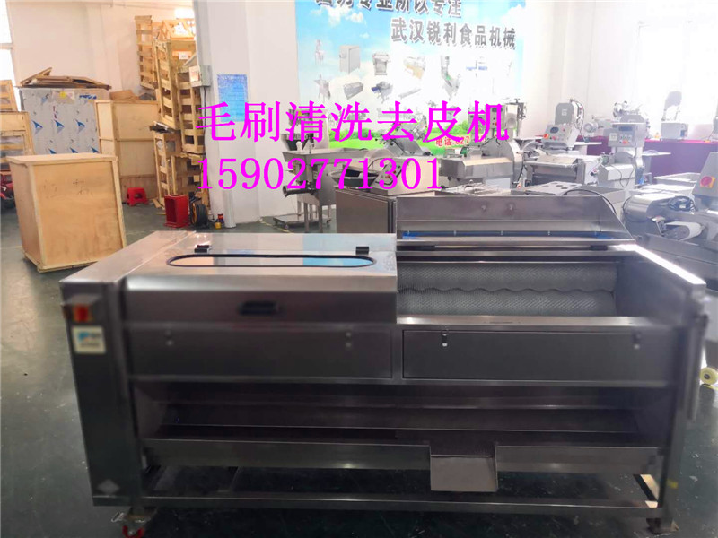 武漢 2m毛刷清洗機(jī)，臘肉豬腿清洗機(jī)，蓮藕土豆清洗去皮去泥機(jī)