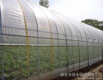 膜繩圖片/膜繩樣板圖 (3)