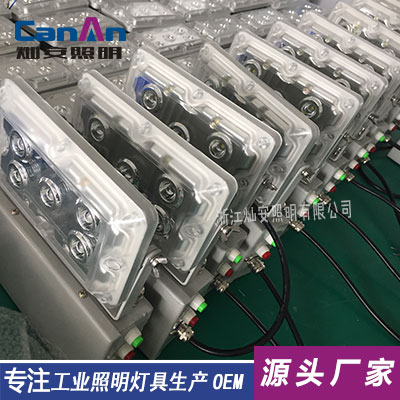 NFE9178LED應(yīng)急燈圖片/NFE9178LED應(yīng)急燈樣板圖 (3)