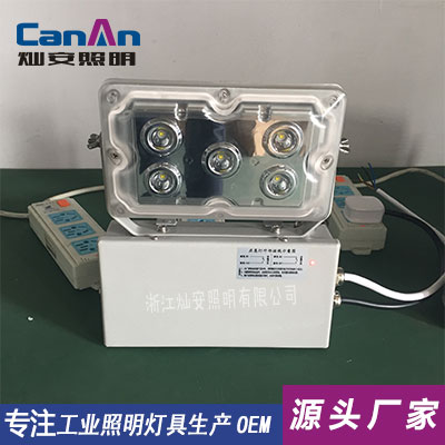 NFE9178LED應(yīng)急燈圖片/NFE9178LED應(yīng)急燈樣板圖 (2)