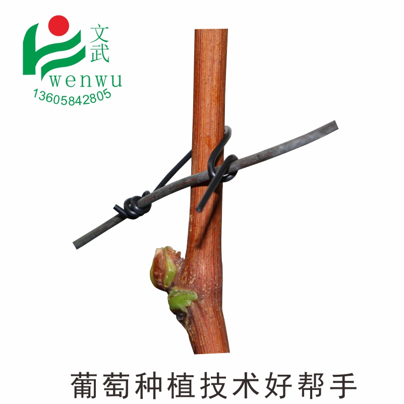 葡萄扎絲0.7 圓形塑料12cm 綁枝條綁絲 第三代園林獼猴桃捆縛線帶