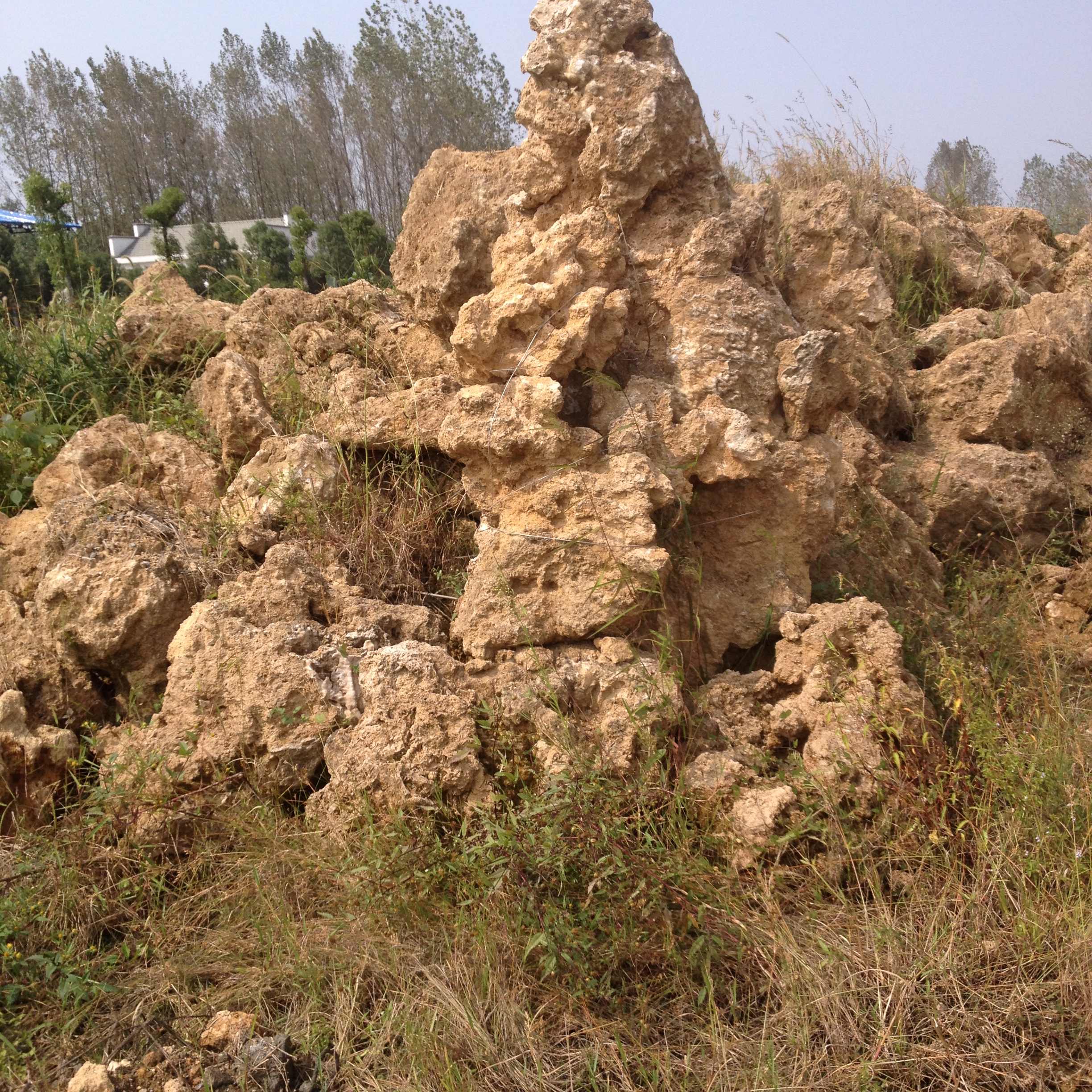 吸水石圖片/吸水石樣板圖 (3)