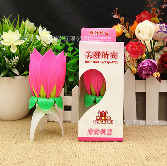 荷花圖片/荷花樣板圖 (3)