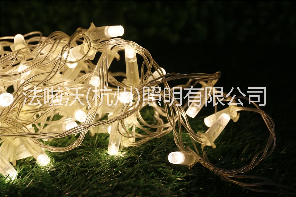 滿天星圖片/滿天星樣板圖 (4)