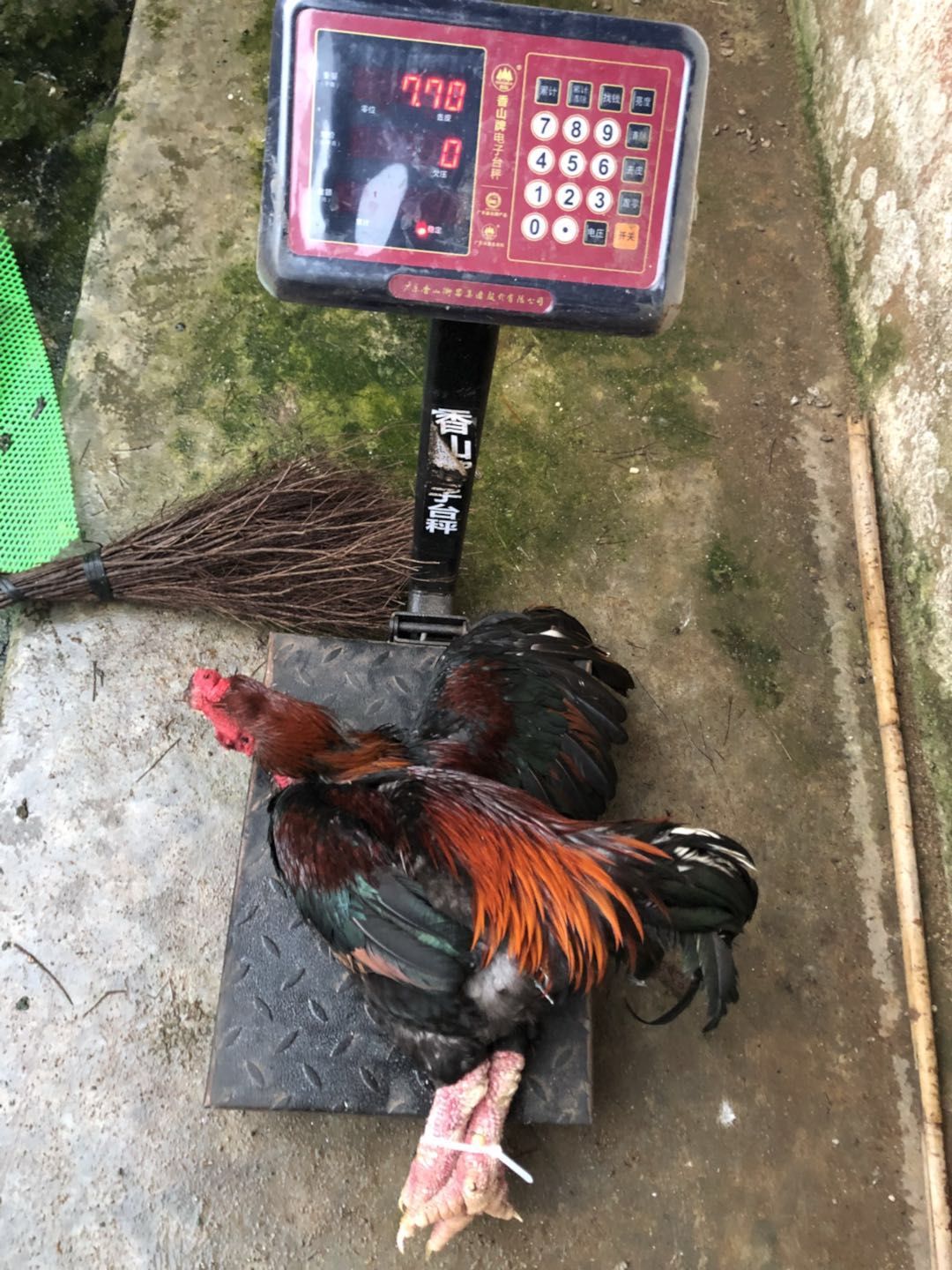 東濤圖片/東濤樣板圖 (4)