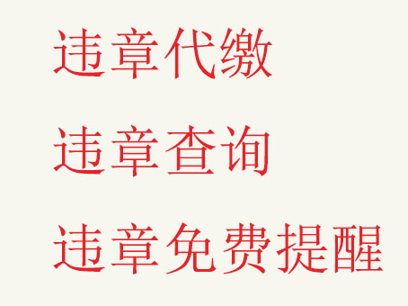 違章查詢代　辦圖片/違章查詢代　辦樣板圖 (2)