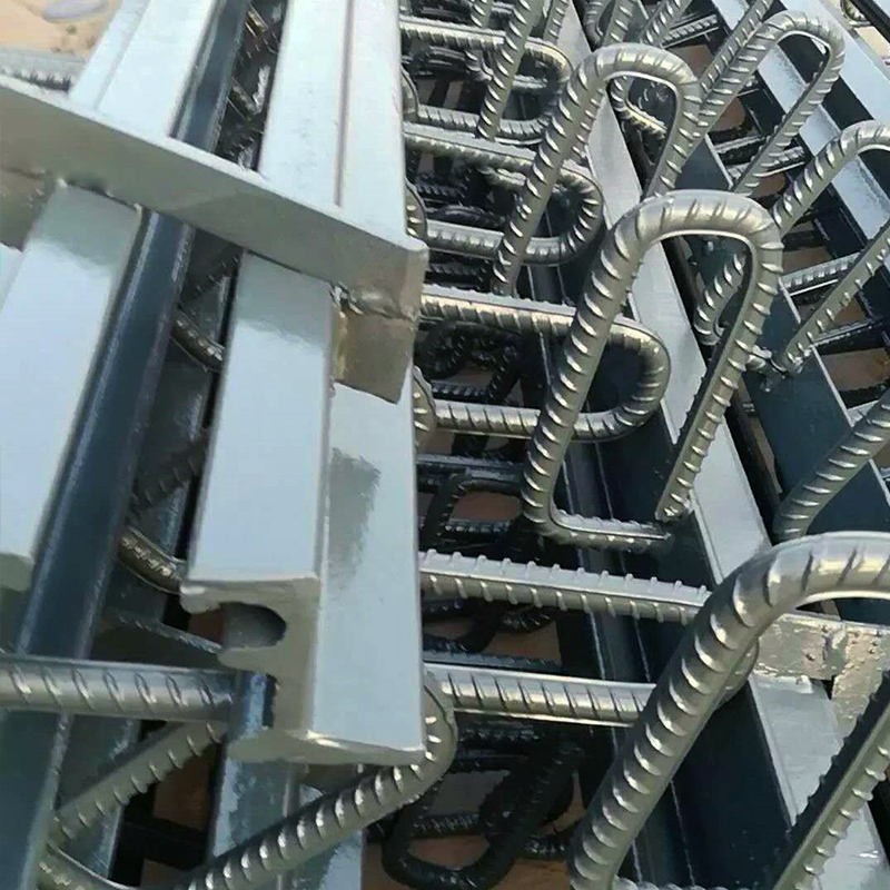 福州伸縮縫廠家圖片/福州伸縮縫廠家樣板圖 (3)