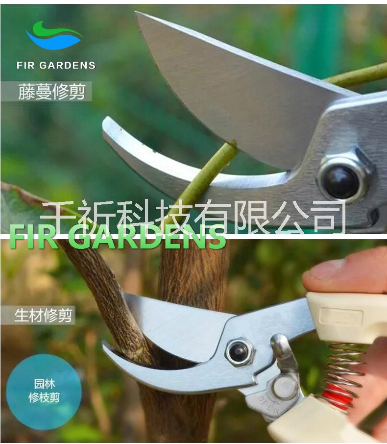 園林園藝剪刀 修枝剪 花枝剪圖片/園林園藝剪刀 修枝剪 花枝剪樣板圖 (3)