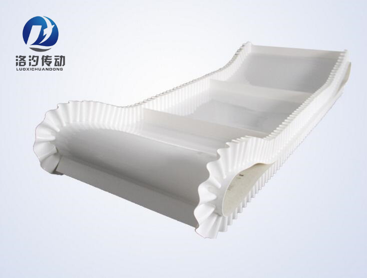 白色裙邊輸送帶圖片/白色裙邊輸送帶樣板圖 (3)