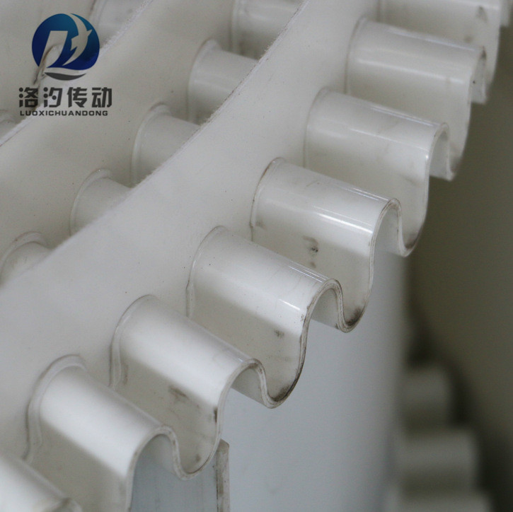 裙邊擋板輸送帶圖片/裙邊擋板輸送帶樣板圖 (1)