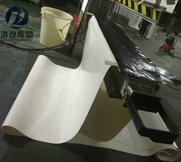 白色pvc輸送帶圖片/白色pvc輸送帶樣板圖 (4)