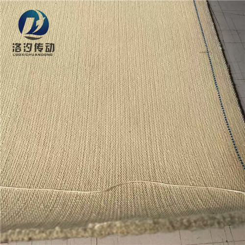 耐高溫帆布輸送帶