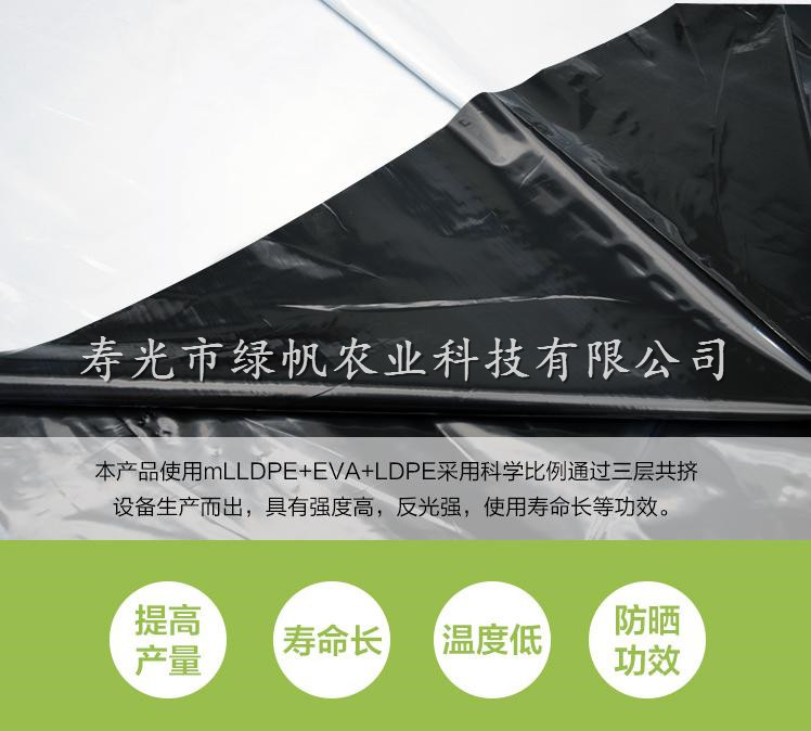 13丝国产黑白膜 大棚长寿防寒膜  纯黑膜 畜牧养殖食用菌种植 13丝大棚黑白膜