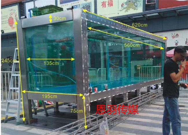 大型表演類(lèi)節(jié)目美人魚(yú)表演租賃圖片