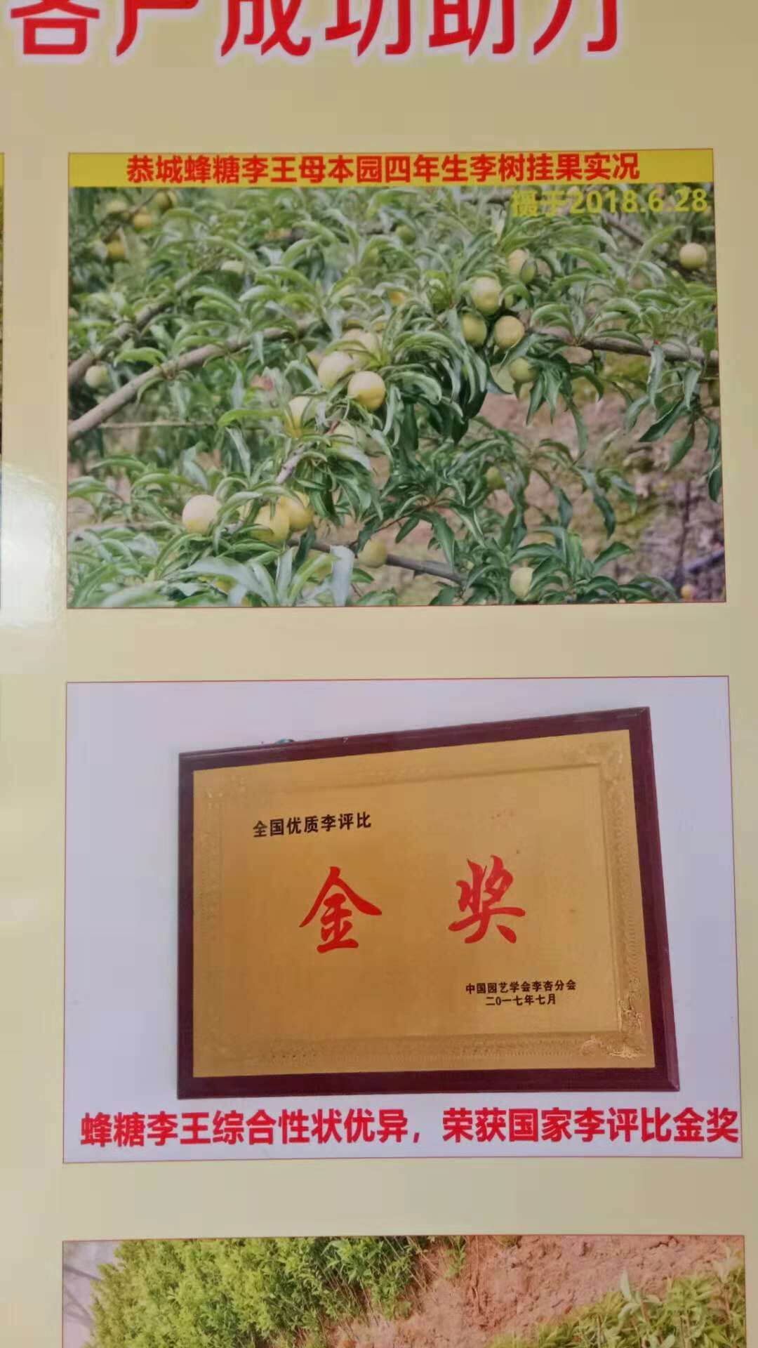 廣西桂林圖片/廣西桂林樣板圖 (2)