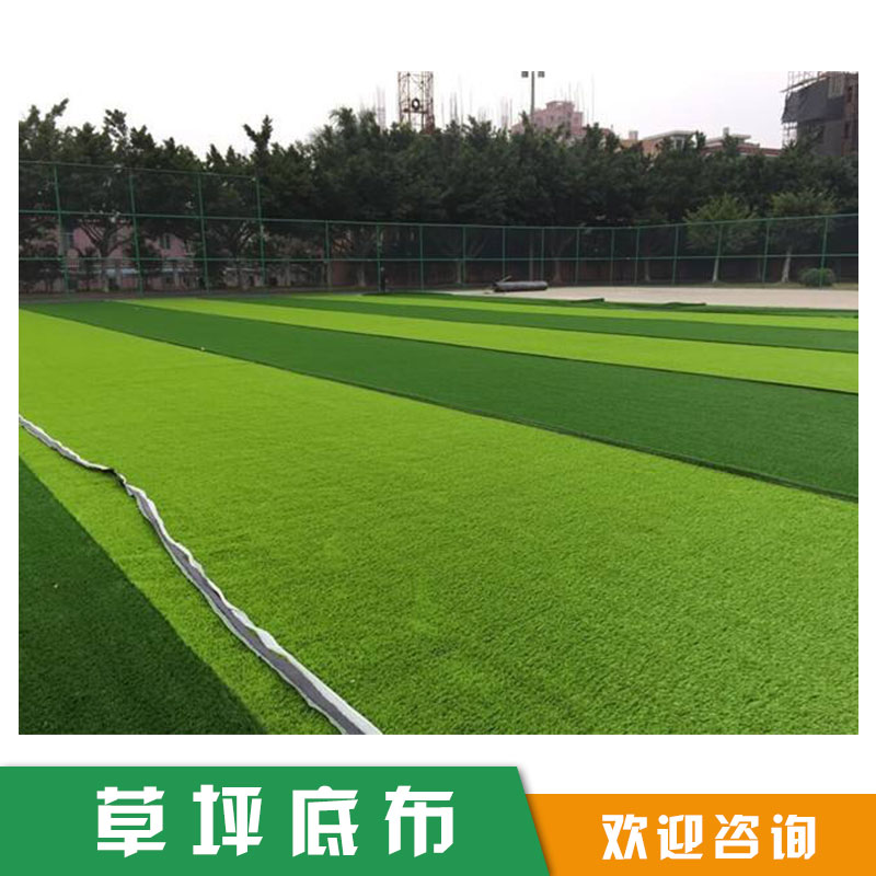 草坪底布圖片/草坪底布樣板圖 (3)