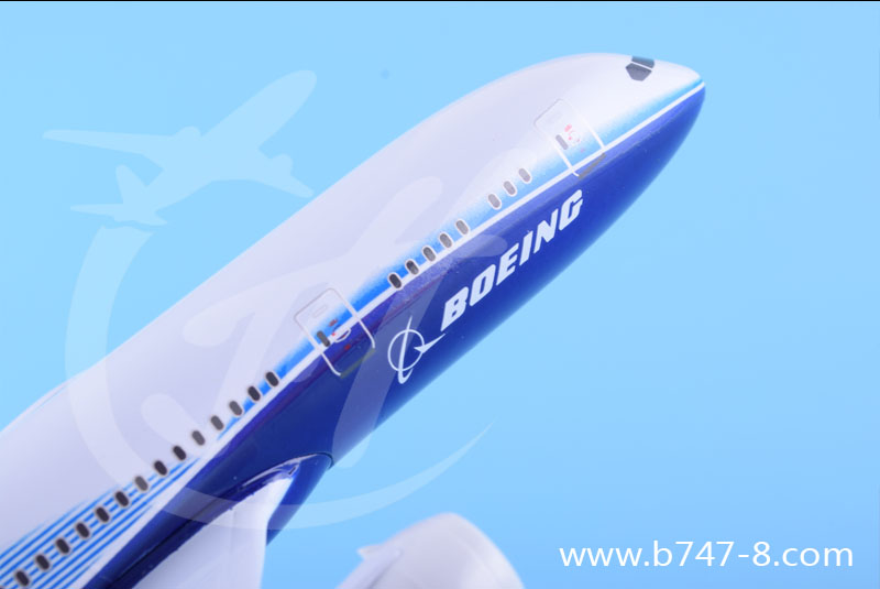 飛機模型圖片/飛機模型樣板圖 (4)