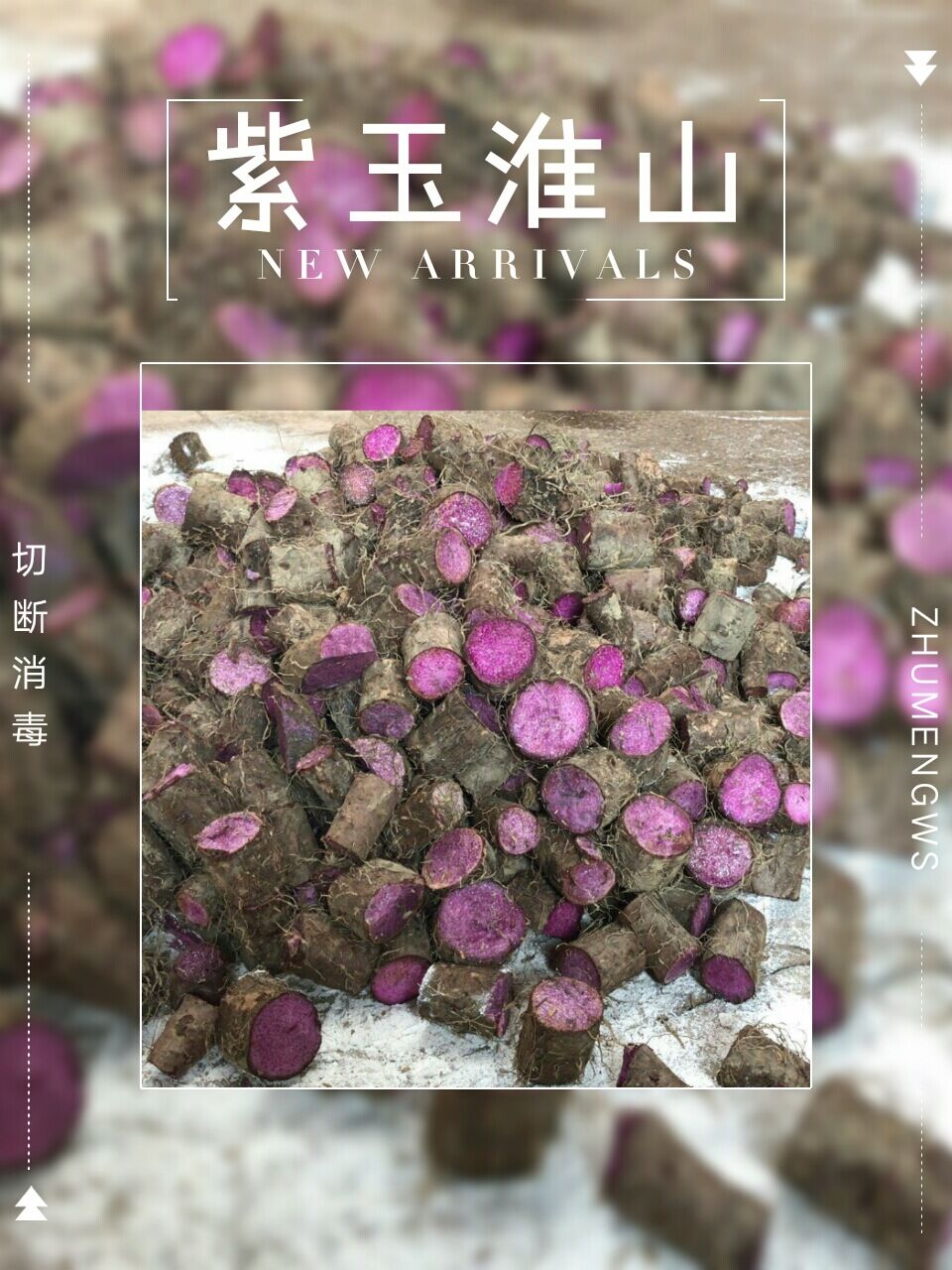 广西新鲜紫玉淮山种植基地-厂家批发价格