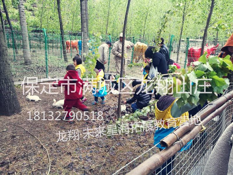 企業(yè)內(nèi)訓(xùn)圖片/企業(yè)內(nèi)訓(xùn)樣板圖 (3)