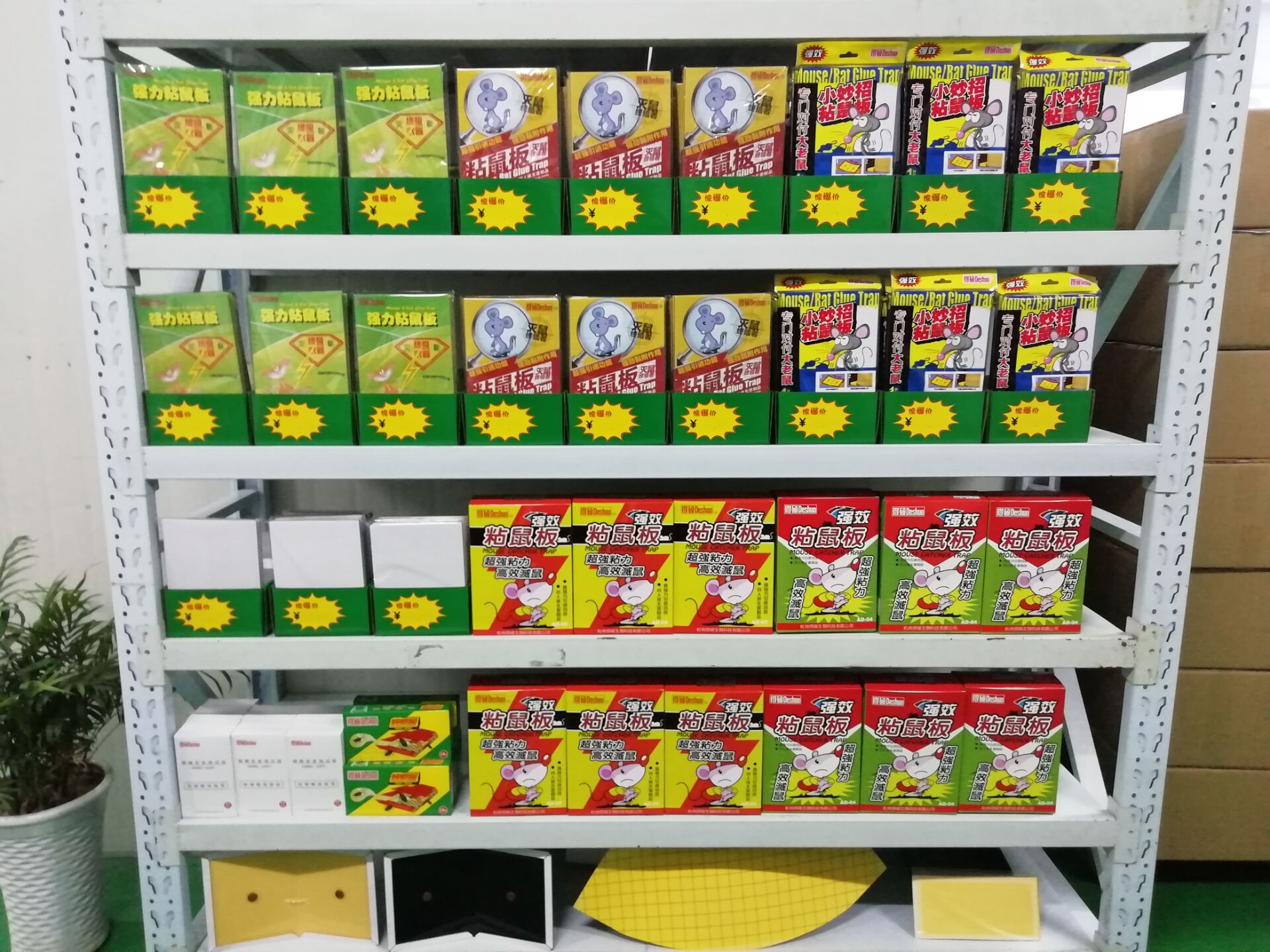 供應(yīng)強(qiáng)力粘鼠板廠家_得碩*力粘鼠板_粘鼠板廠家_粘鼠板品牌_*力粘鼠板 得碩強(qiáng)力粘鼠板廠家