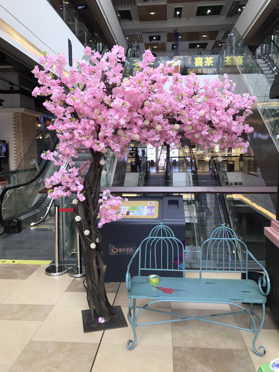 許愿樹圖片/許愿樹樣板圖 (4)