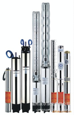 220V家用不銹鋼深井潛水增壓泵 220V家用深井泵型號(hào) 220V家用深井泵供應(yīng)商 福建220V家用深井泵 南平220