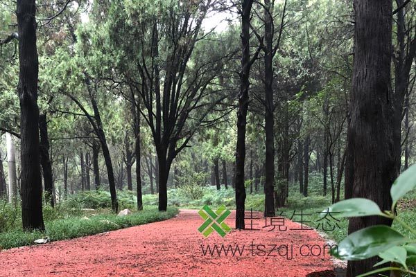透水混凝土圖片/透水混凝土樣板圖 (1)