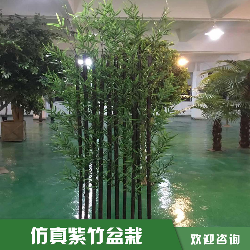 仿真紫竹盆栽圖片/仿真紫竹盆栽樣板圖 (3)