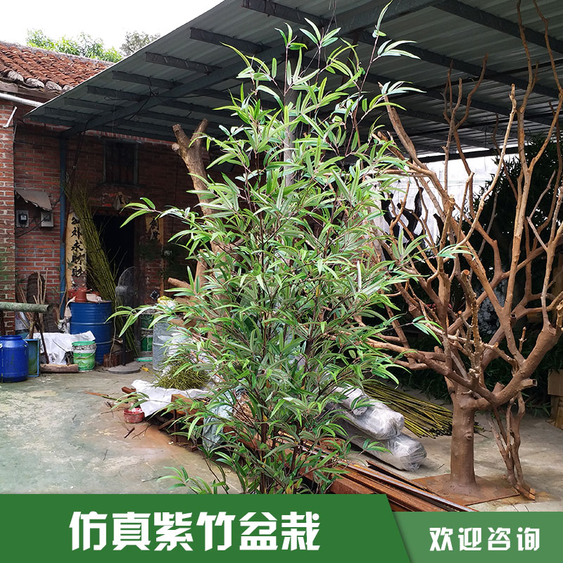 仿真紫竹盆栽圖片/仿真紫竹盆栽樣板圖 (4)