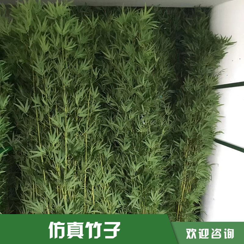 仿真竹子價格圖片