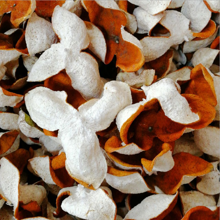 柑皮圖片/柑皮樣板圖 (1)