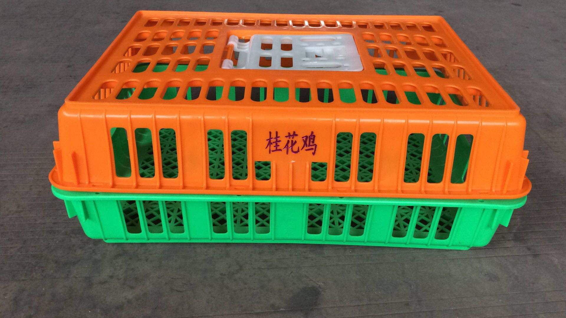 雞籠圖片/雞籠樣板圖 (3)