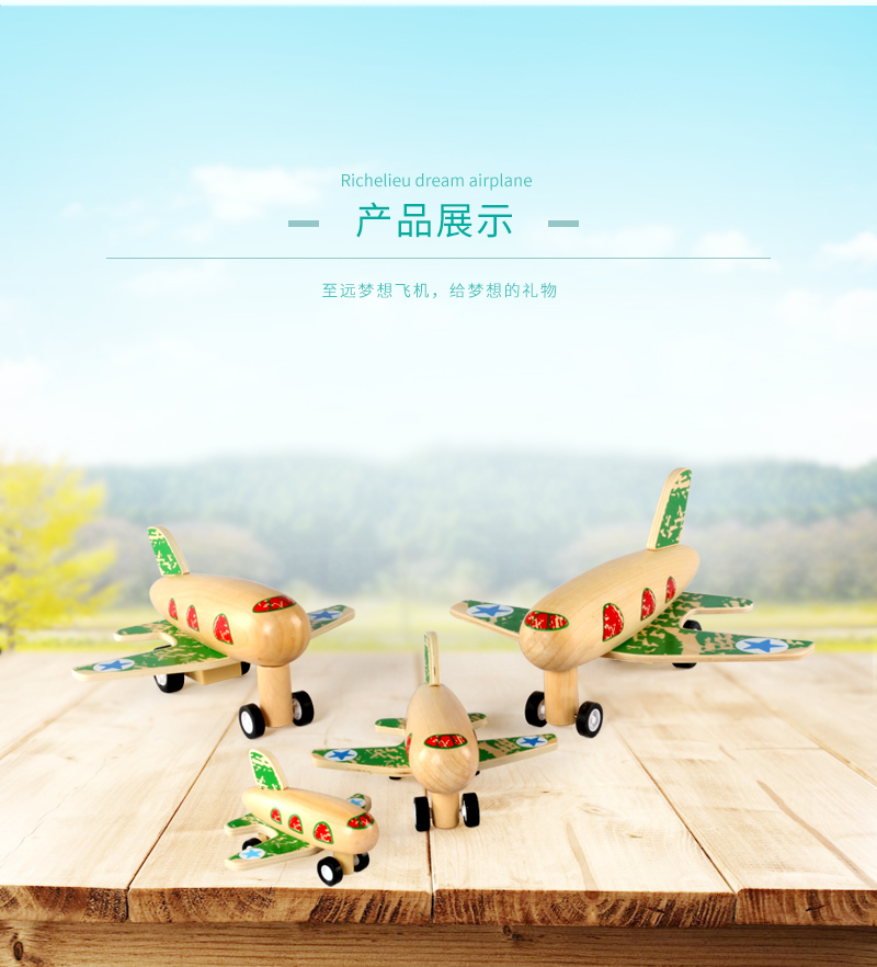 至遠夢想飛機圖片/至遠夢想飛機樣板圖 (4)