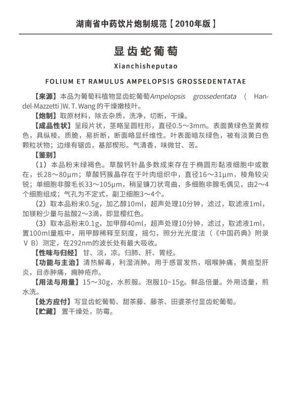 白茶圖片/白茶樣板圖 (2)